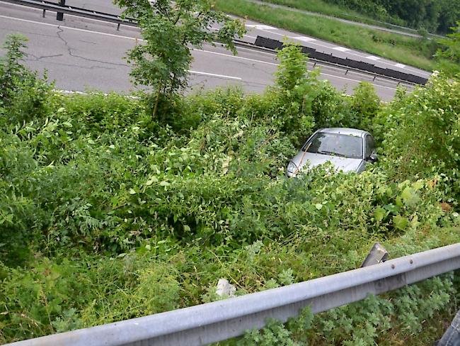 Mehr oder weniger sanfte Landung im Gebüsch: Blaufahrer auf der Autobahn bei Münchenstein BL